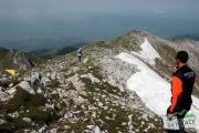 2005 Transito in vetta