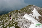 2005 Transito in vetta