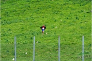 2006 Arrivo (2)